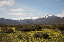 VALDEOLEA EN PRIMAVERA