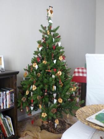 [albero_2.JPG]
