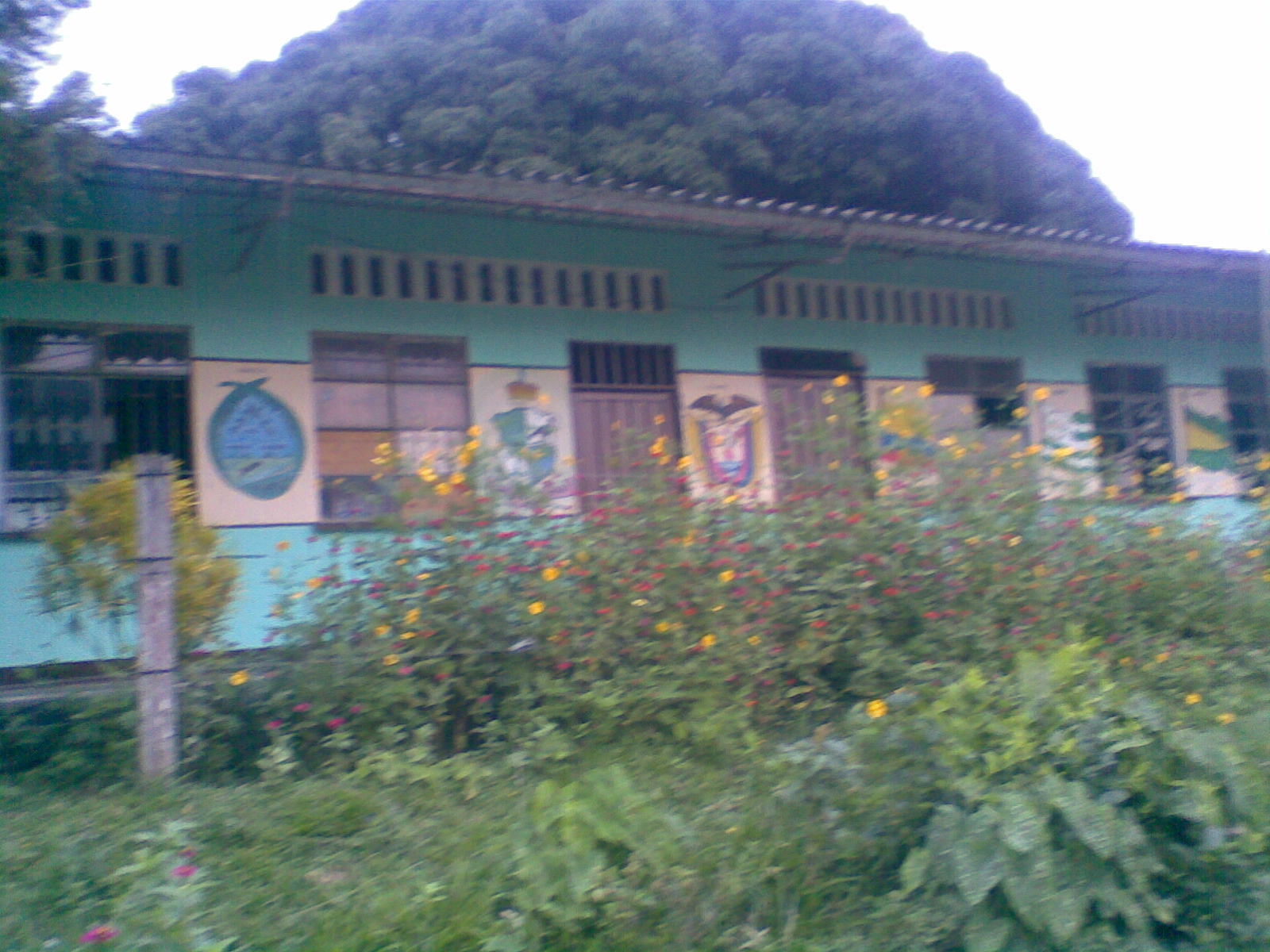 INSTITUCIÓN EDUCATIVA RURAL LA CEIBA SEDE SAN JOSE