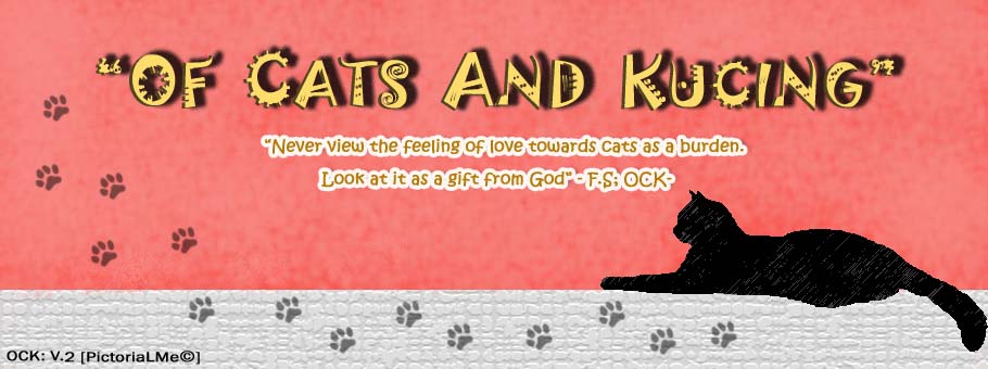 Of Cats and Kucing *^-^* pictures of cats. Of Cats and Kucing *^-^*
