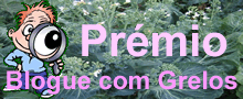 [premiobloguecomgrelos2007.png]