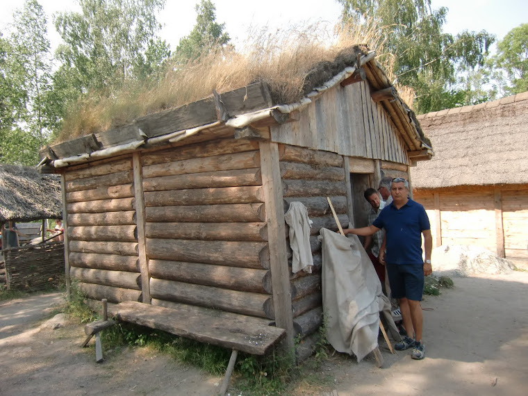 Casa con troncos de madera