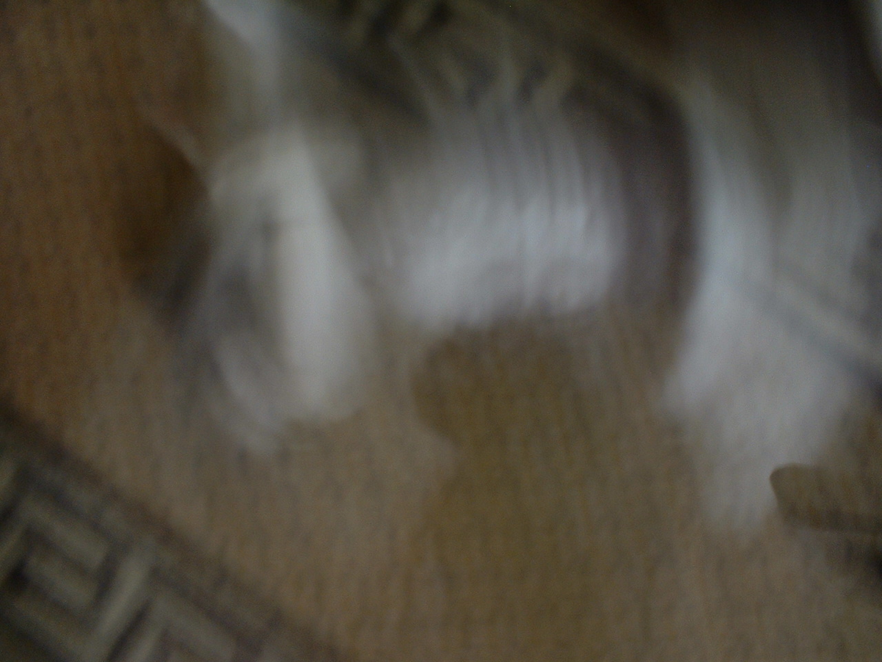 [DSCF0186.JPG]