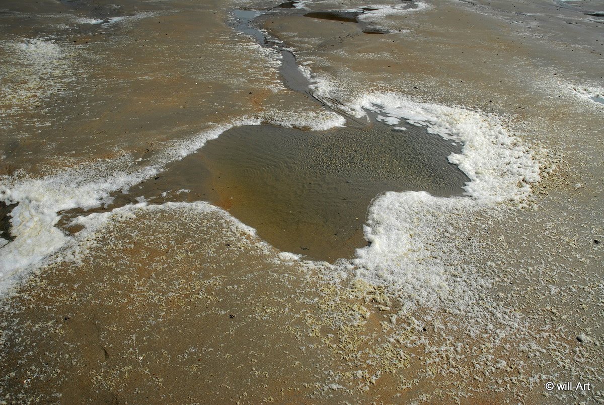 Het groene gezicht juli 2010