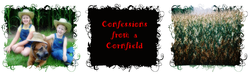Confessions from a Cornfield