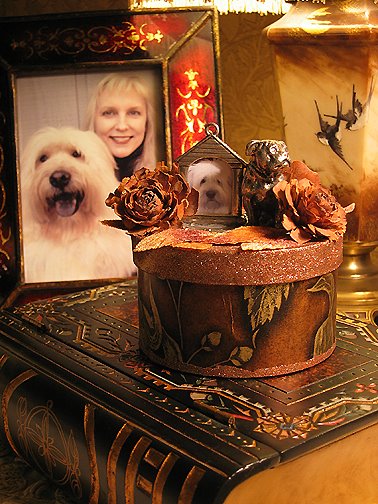 [DogBox2-crop+72dpi.jpg]