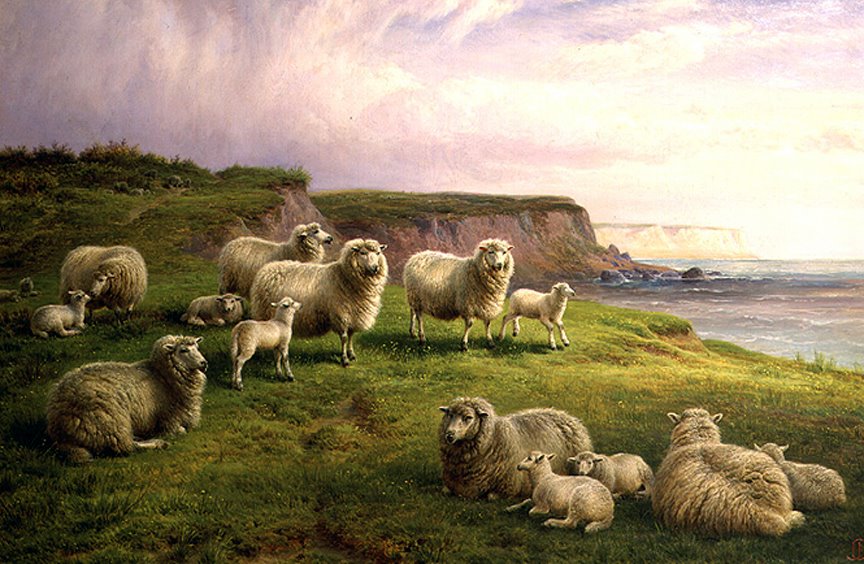 [sheeponcoast.JPG]