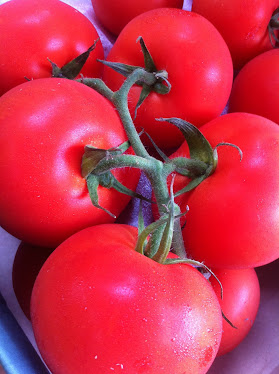 Tomatos on vine