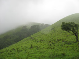 The Trail under the misty weather