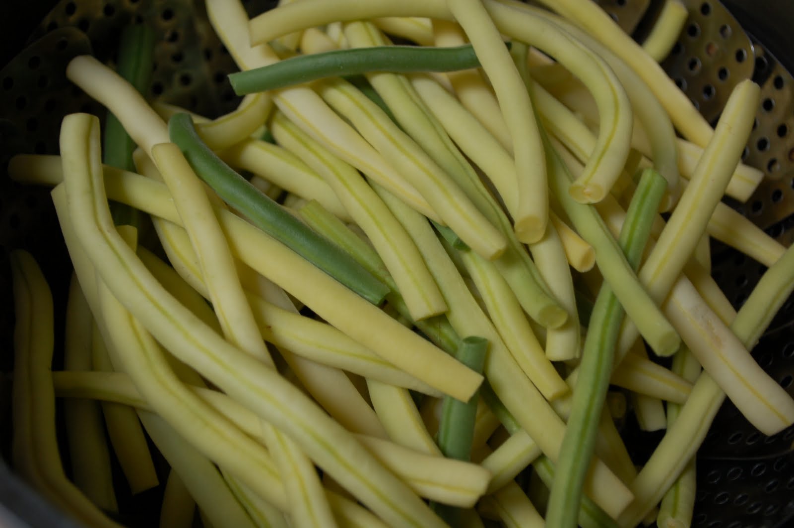 The Spice Garden: Spice Garden Poetry Gardener's Couplets