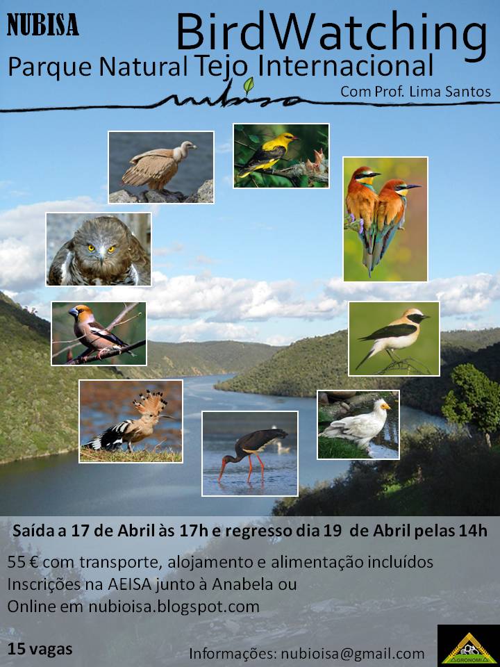 [Cartaz_BirdWatch._Tejo_Int..jpg]