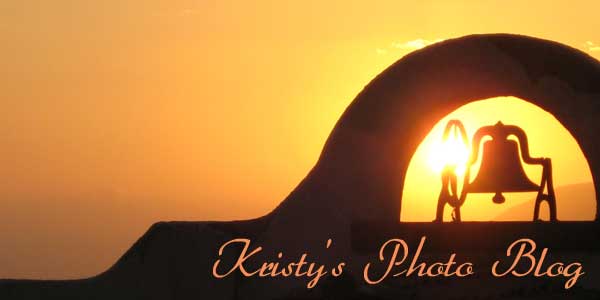 Kristy's Photo Blog