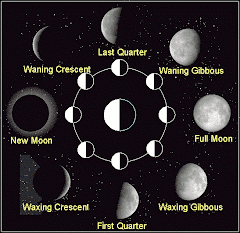 See the phases of the Moon