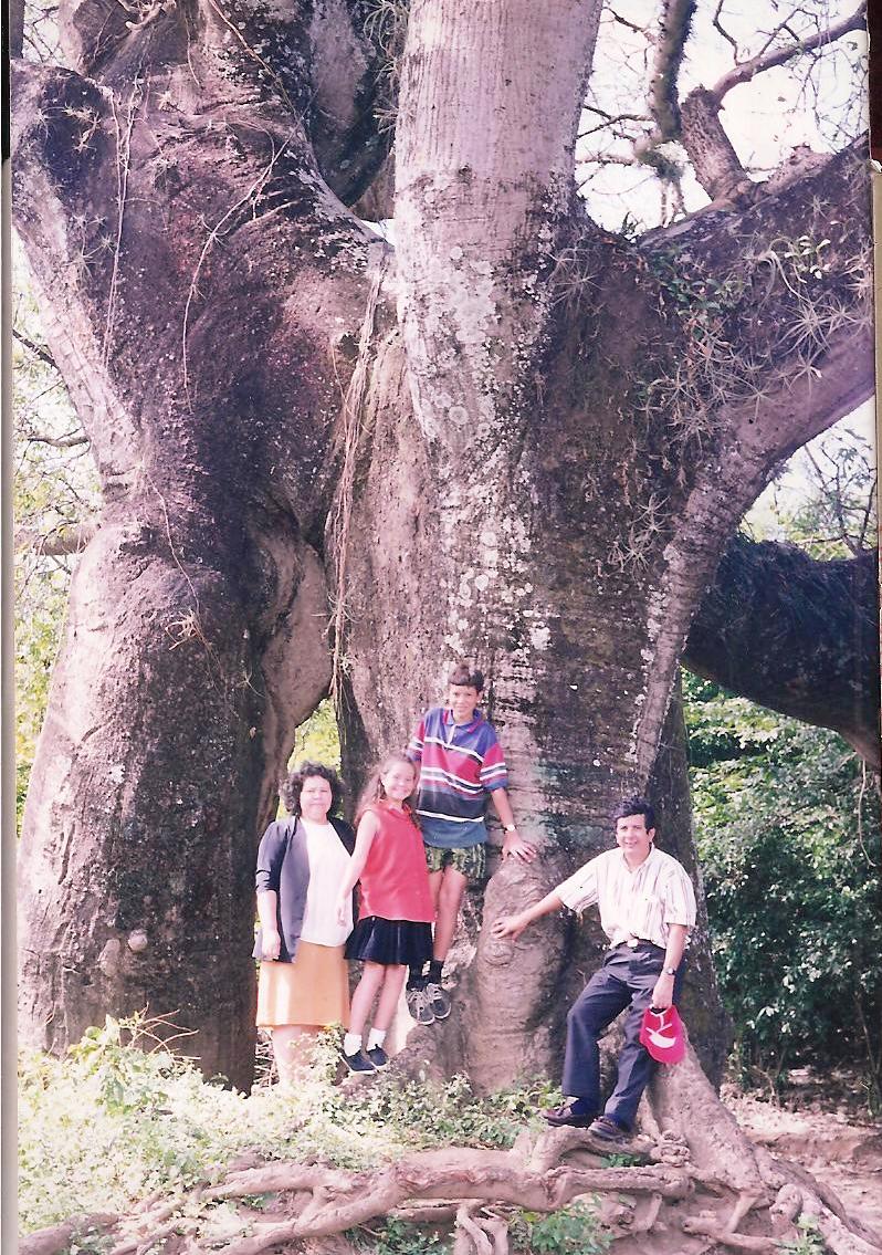 LAS CEIBAS EN EL SALVADOR