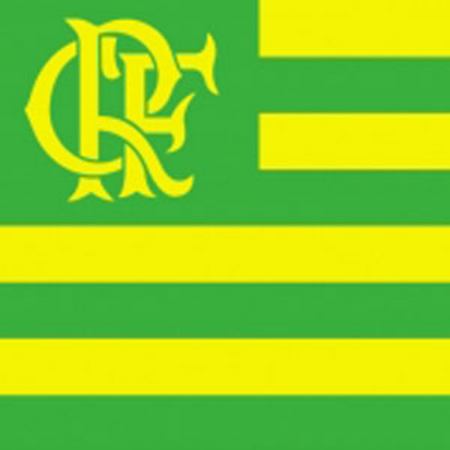 camisa flamengo verde e amarelo
