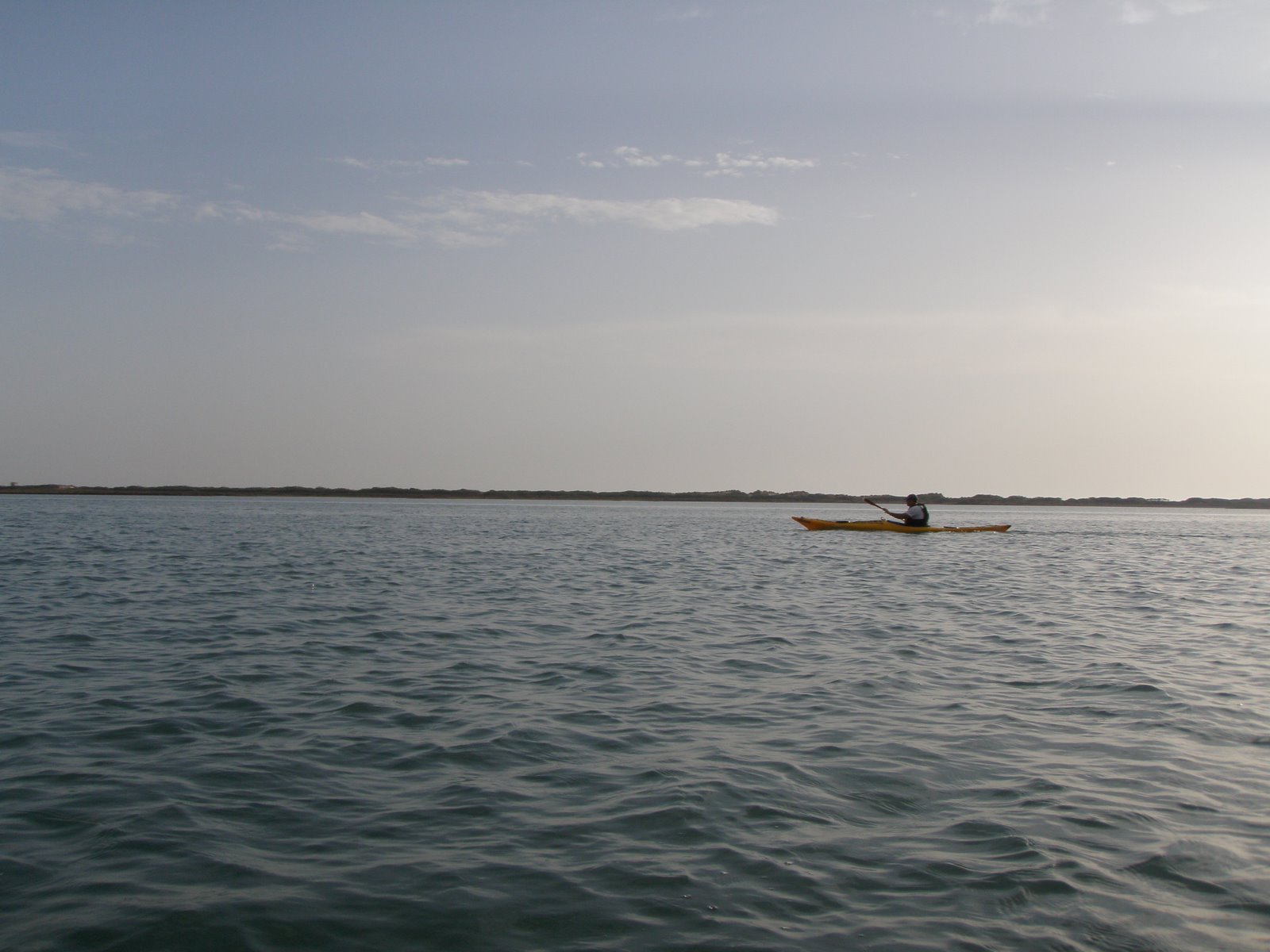 [P6140015.JPG]