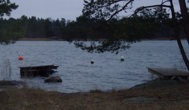 Brrrr... Jogersö 2009-12-07
