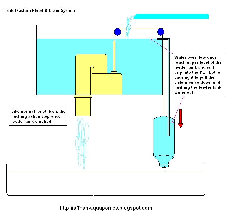 Affnan's Aquaponics Toilet Cistern Flood & Drain