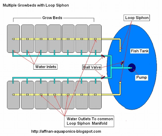 Affnan's Aquaponics Aquaponics Loop Siphon with Multiple Growbeds