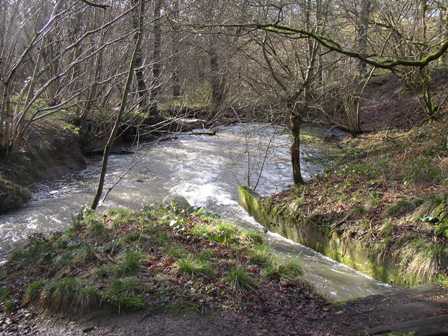 ebook aircraft profile no 21 the