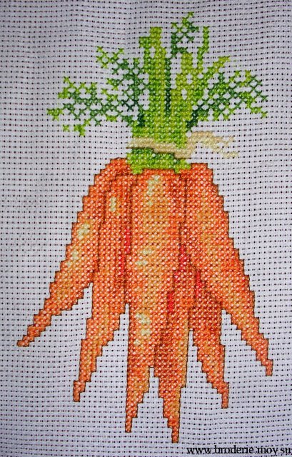 [Морковь.jpg]