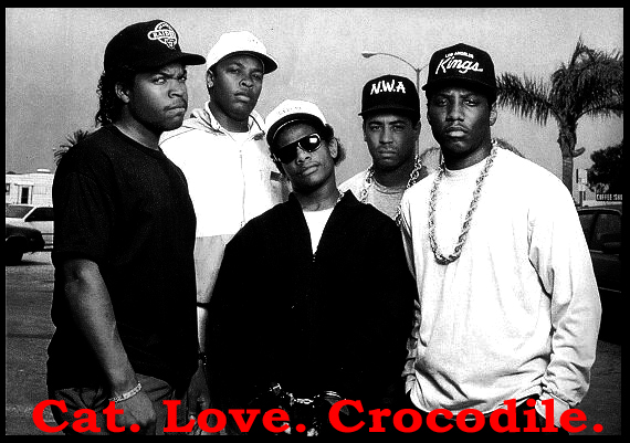 Compton: Cat. Love. Crocodile.