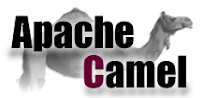 What the hump is Apache Camel?