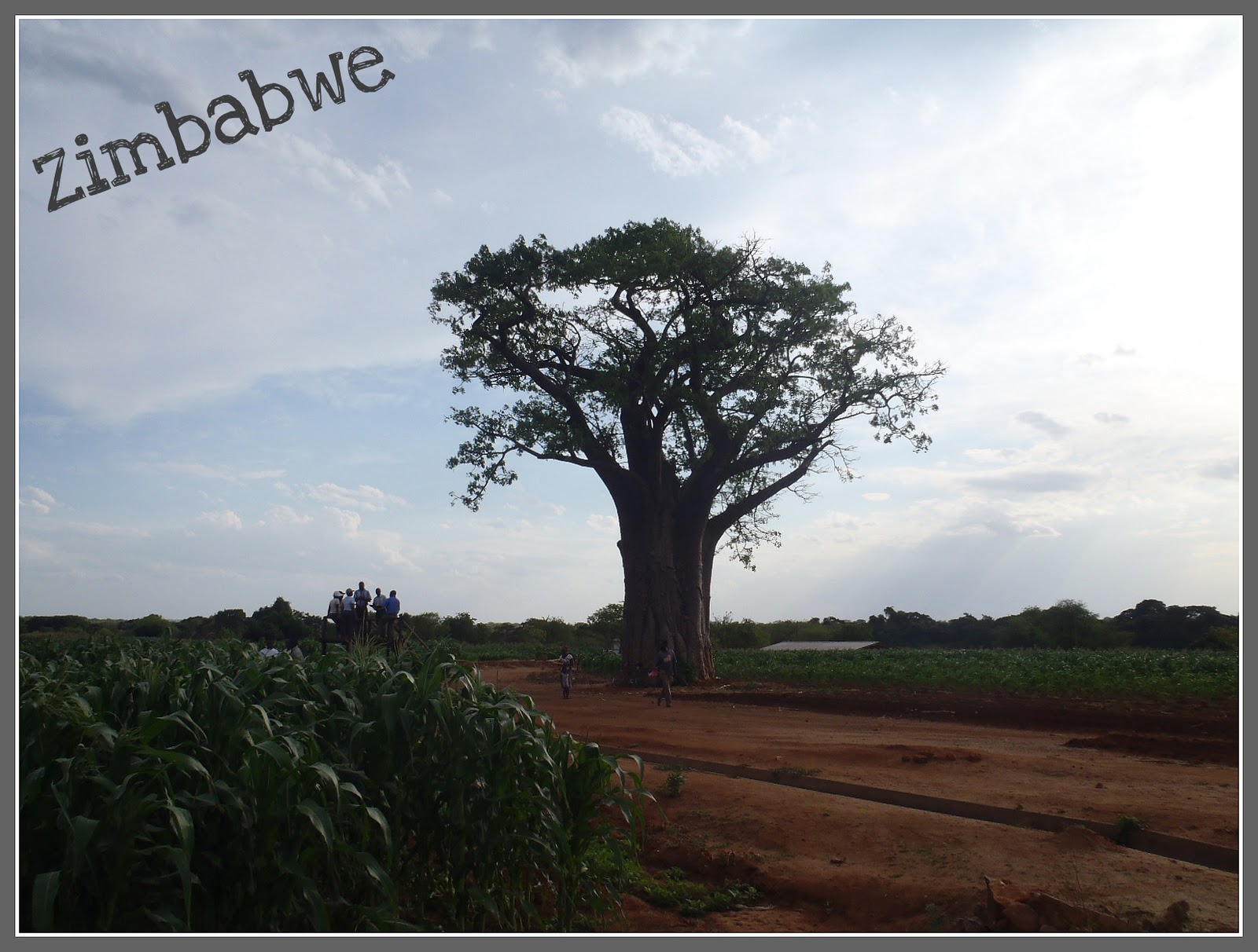 Pošalji mi razglednicu, neću SMS, po azbuci - Page 8 Zimbabwe+postcard