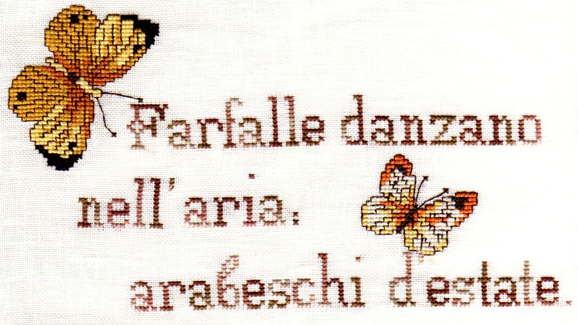 [IMMAGINE505.JPG]