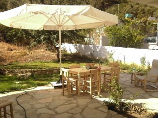 achterterras met osmanmuur