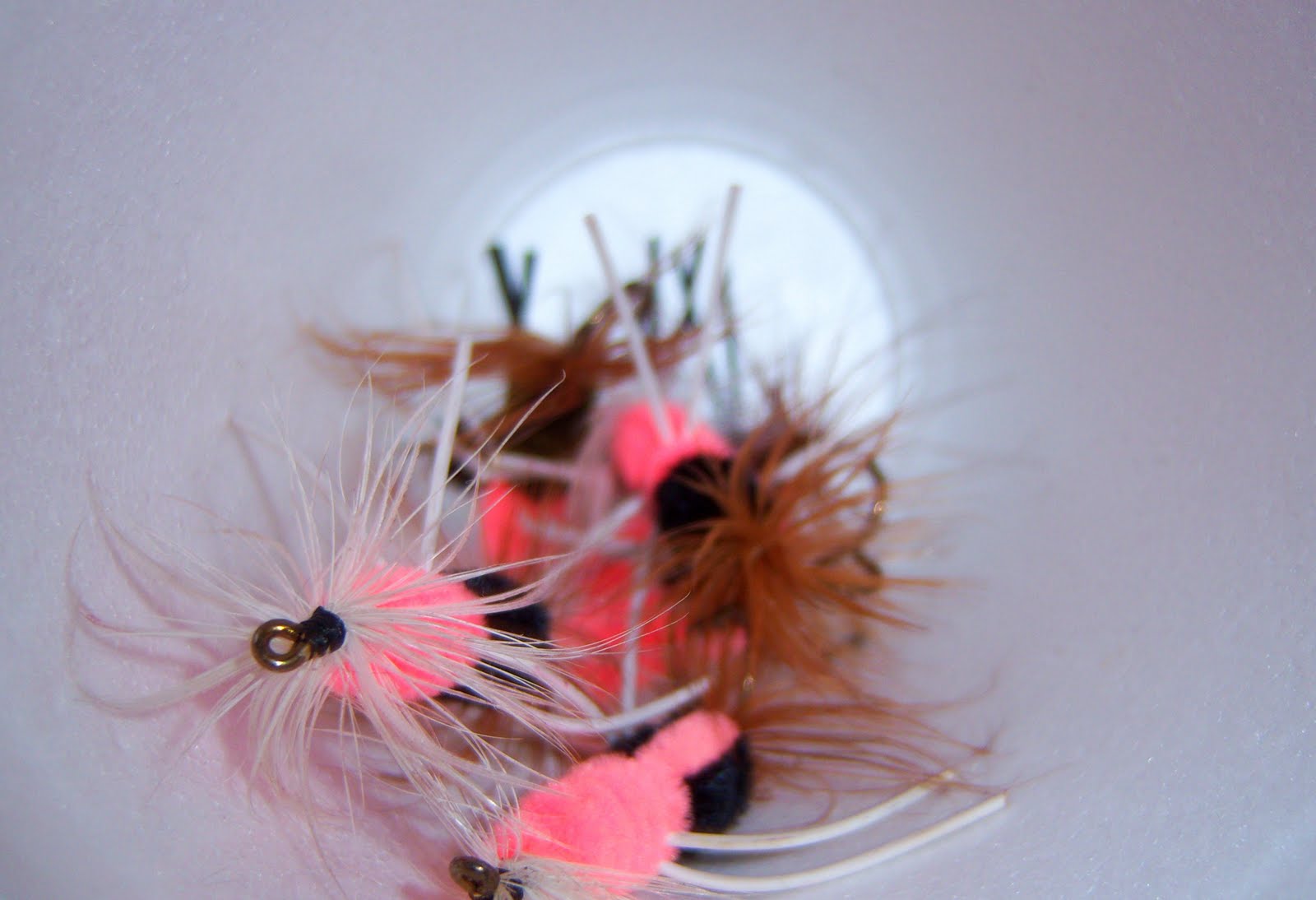 pink flies