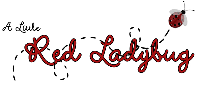 a little red ladybug