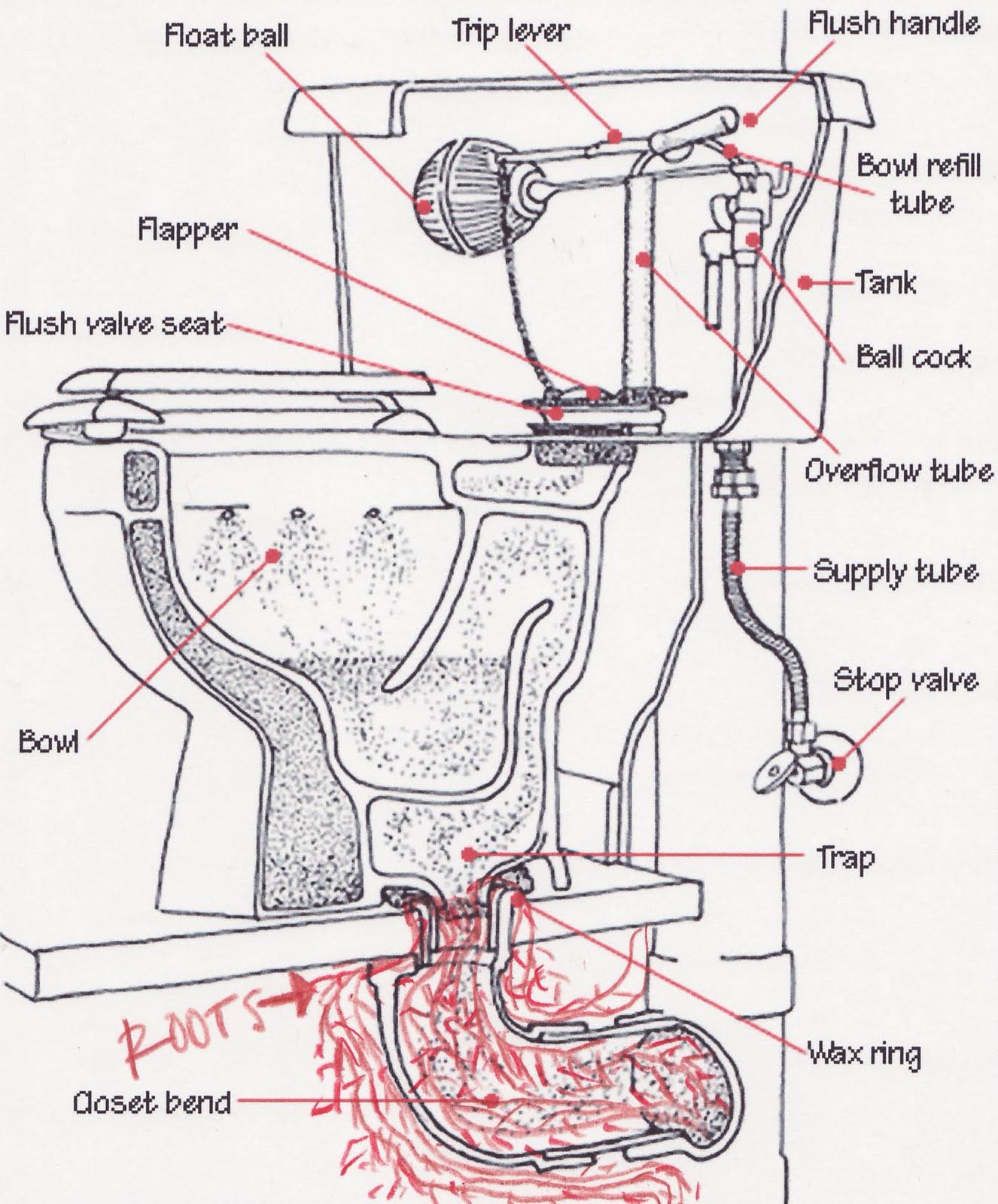 diagram of toilet