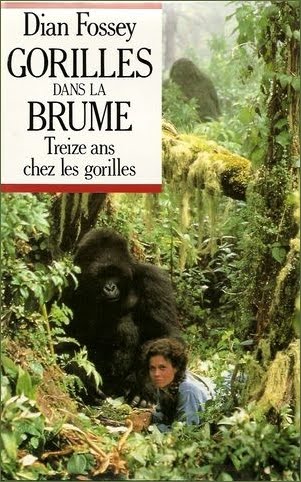 Thème du 1er mai au 31 aout 2011: Les nominés sont ... Gorilles+dans+la+brume