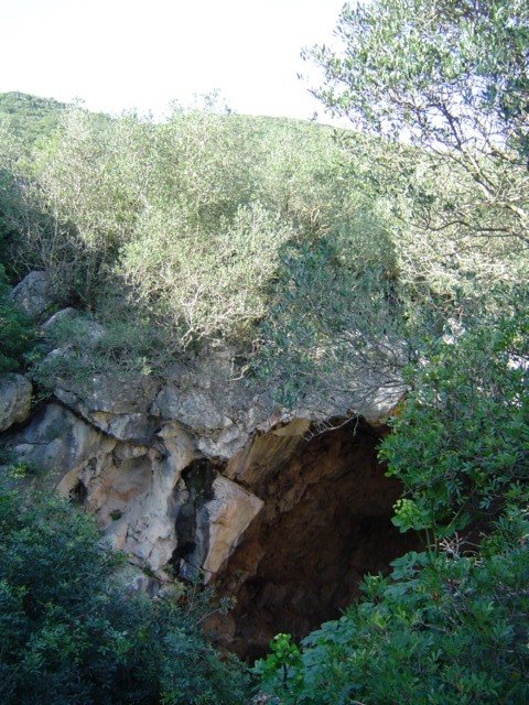 [DSC00916.JPG]