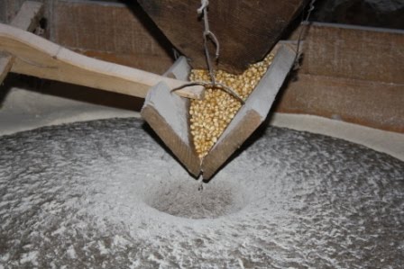 [Lazarim_by_ruipires.lmg@gmail.com+(8).JPG]