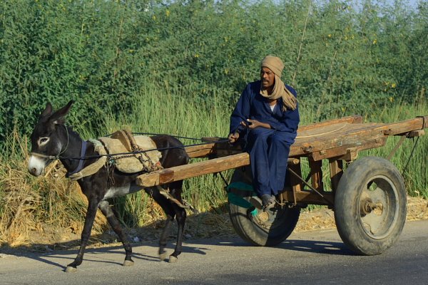 [luxor04.JPG]