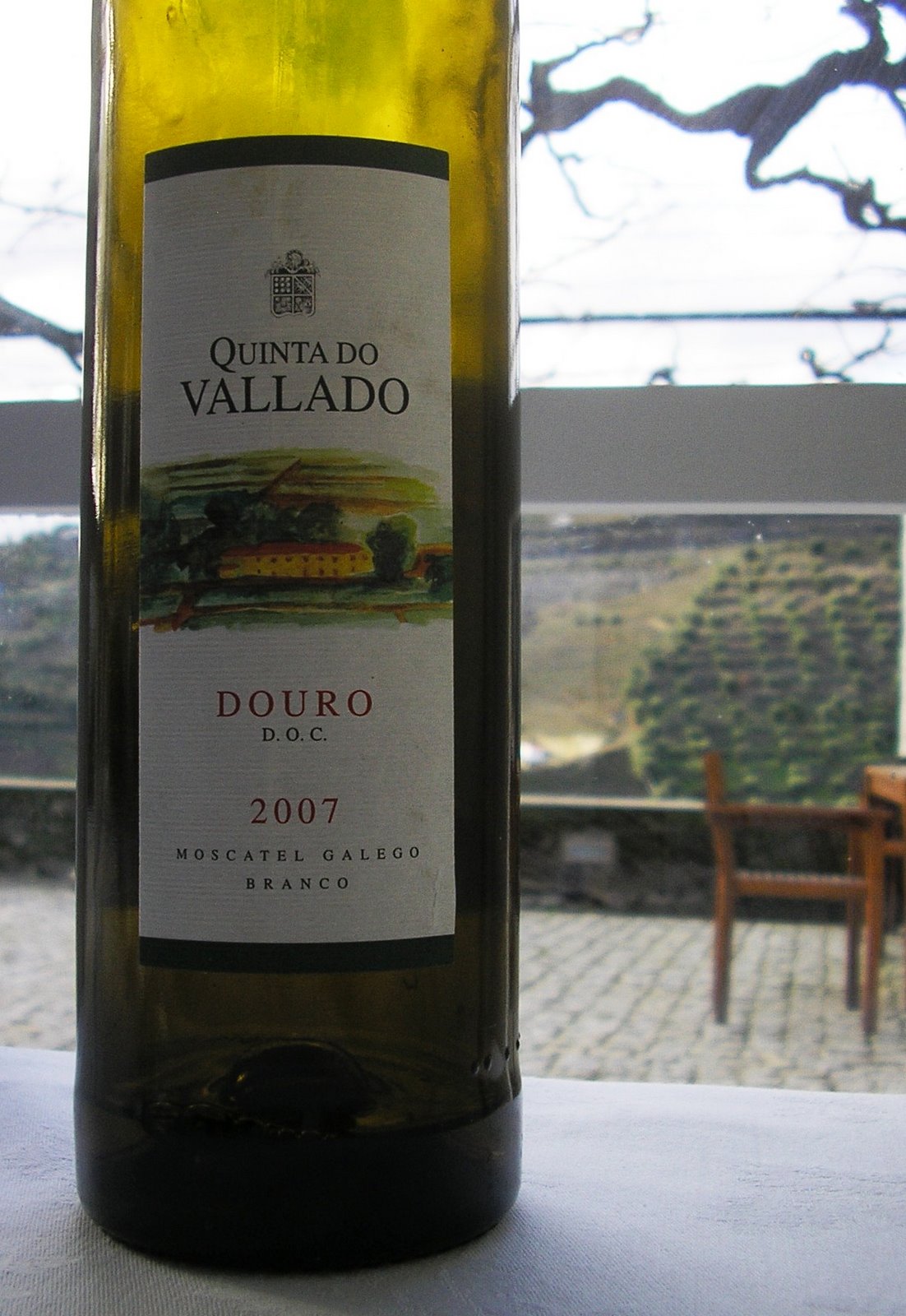[moscatel.jpg]