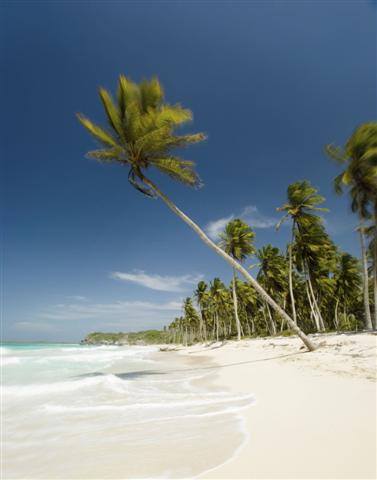 [PH00634+(Small).jpg]