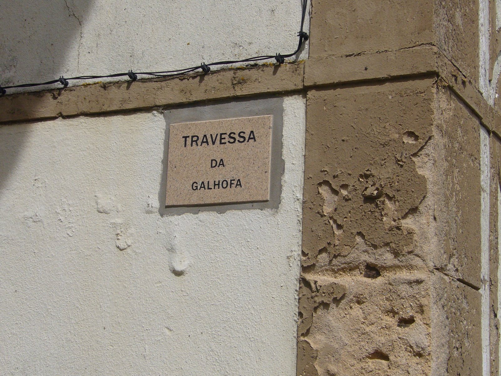 [P1030095.JPG]