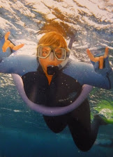 Snorkeling on the great barrier reef