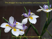 A Ray of Sunshine
