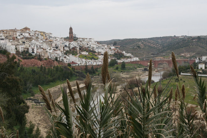 montoro