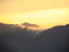 Sunset in the Olympic National Park