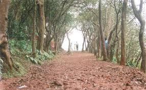 One of the Inner roads in matheran