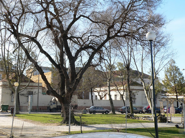 Escola Básica de Conde Ferreira