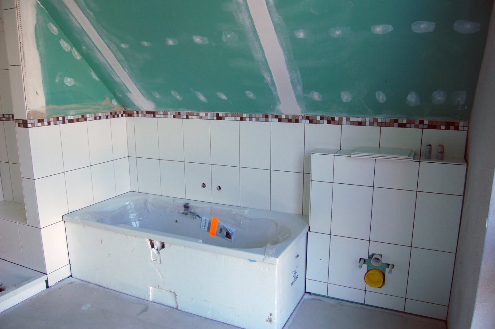 Project: Eigenheim 2010: Juni 2010