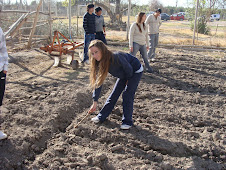 Trabajando La Colza 2010