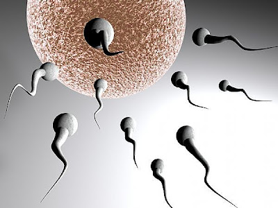 கோடி உயிரில் ஒரு உயிர் - வித்தியாசமான புகைப்படம் Sperm+Cells+%289%29