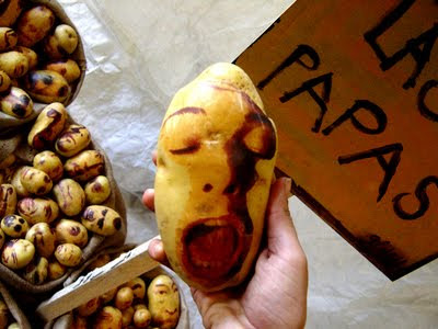 Unbelievable Potatos Art Potato+Arts+%2828%29